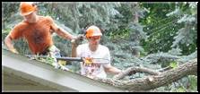 Xtreme Tree Service crew clearing storm debris